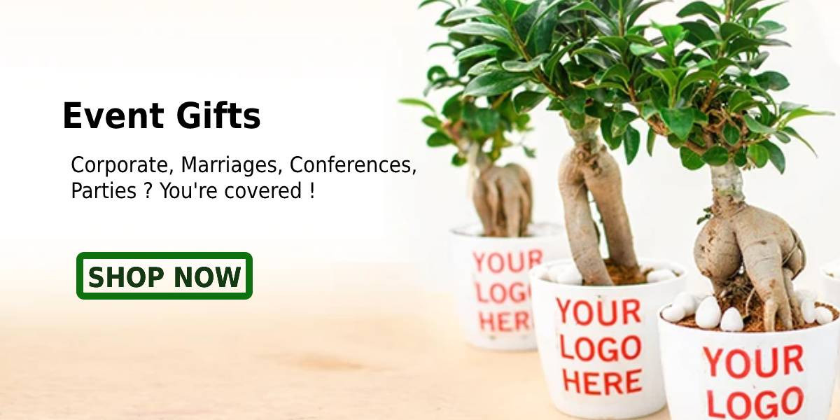 Agromart Nepal promo