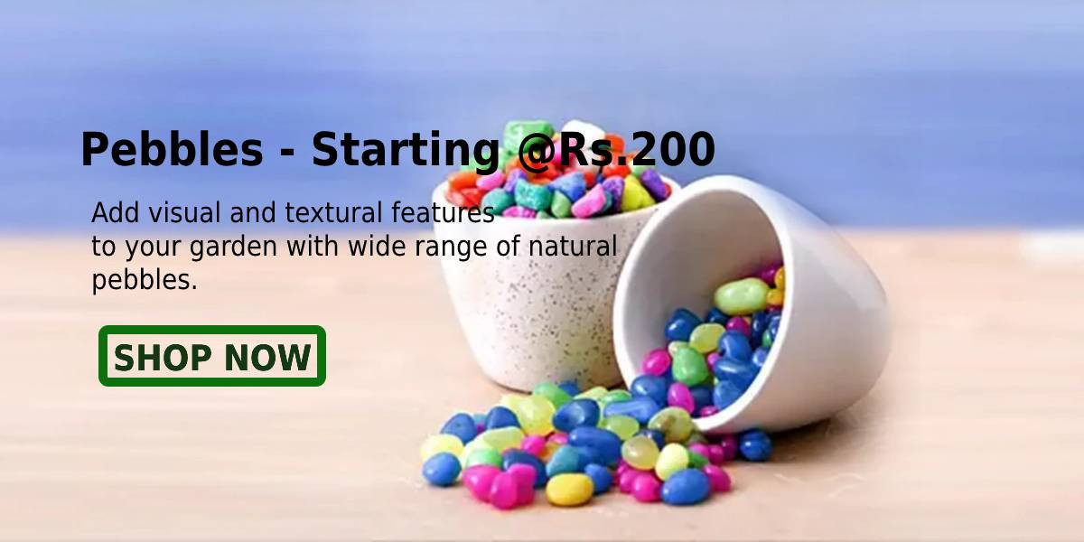 Agromart Nepal promo