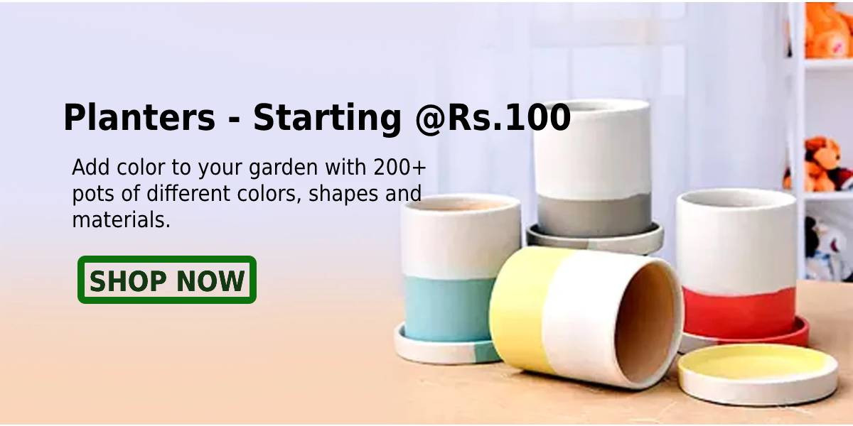 Agromart Nepal promo