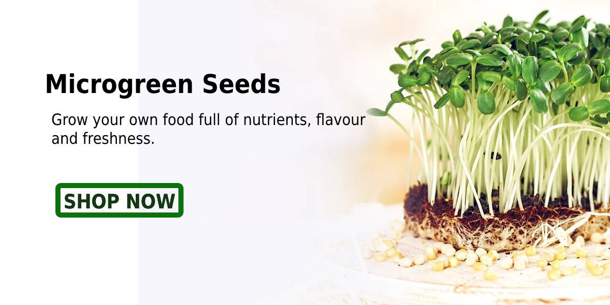 Agromart Nepal promo